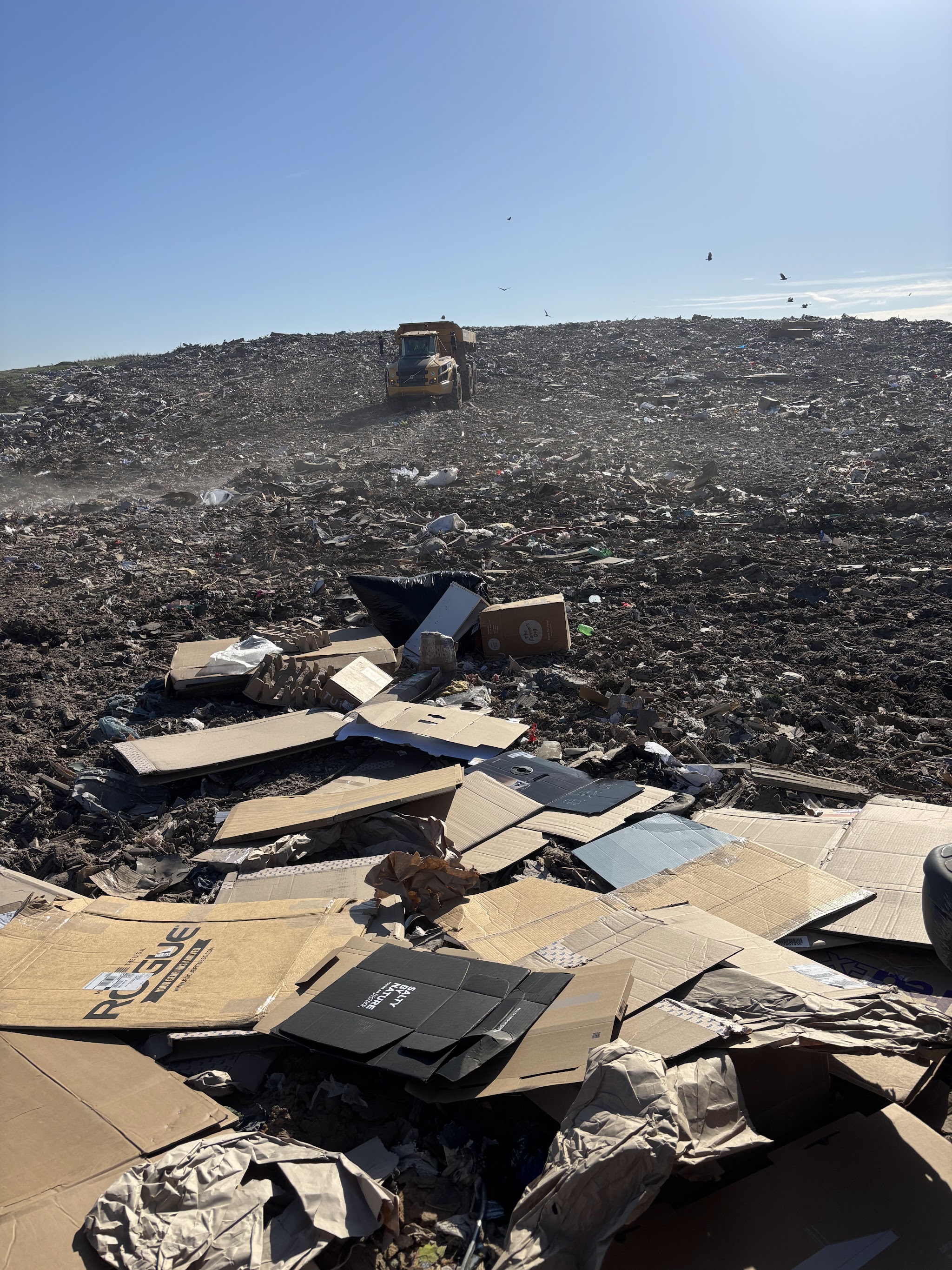 Flattened cardboard spread out on the ground